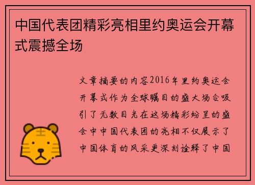 中国代表团精彩亮相里约奥运会开幕式震撼全场